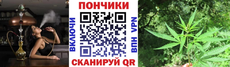 цены   Нахабино  Бошки марихуана сатива 
